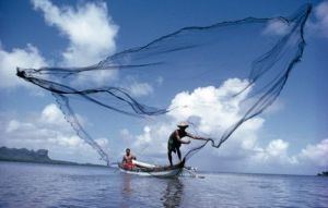 Always trying to catch a little more