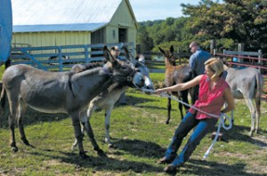 Sometimes you're the puller, and sometimes you're the pullee