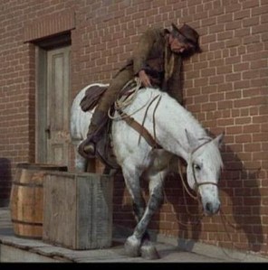 It helps to have a patient horse