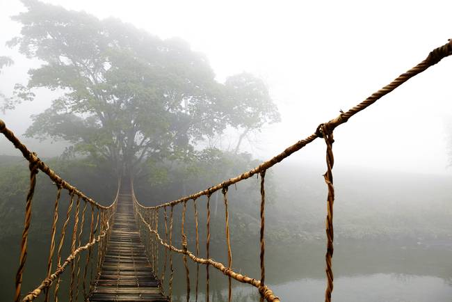 rope bridge